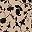 Khaki Black