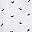Shark Pattern White