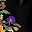 Black Red Purple Flor