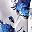 White Blue Roses