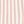 Champagne Striped