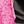 Black Pink Leopard