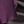 Black Purple