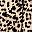 Brown Leopard