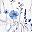 White Floral