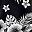 Black White Flower