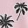 Pink Coconut Tree