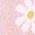 Pink Flowers
