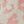 Pink Leopard