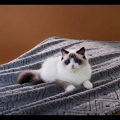 Geometric Flannel Jacquard Throw Blanket