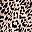 Black Leopard