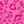 Hot Pink Leopard