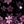 Black Pink Flower