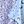 Purple Black Blue
