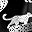 Black Tiger