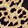 Brown Leopard