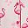 Flamingos