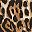 Brown Leopard Print