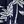 Dark Blue Palm Tree