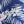 Navy Blue White Leaf