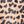 Leopard Brown