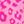 Hot Pink Leopard
