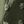 Deep Army Green