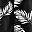 Black Palm Leaf