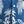 Blue Coconut Tree