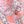 Pink Multi