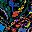 Black Multi