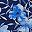 Blue Hibiscus