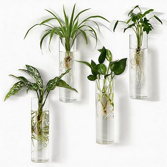 Kaelin Home Wall Planter Hanging Glass Tubes Flower Vase