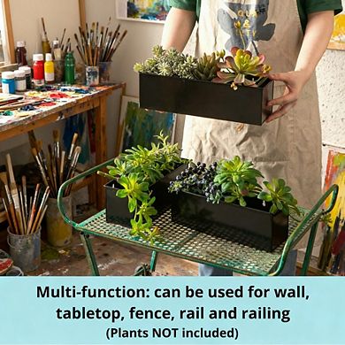 Kaelin Home Wall Planter (3 Pack, 12 Inch)