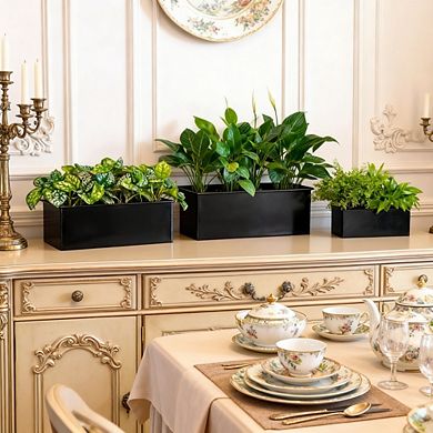 Kaelin Home Wall Planter (3 Pack, 12 Inch)
