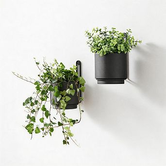Kaelin Home 2 pc Wall Mounted Hanging Planter Vase