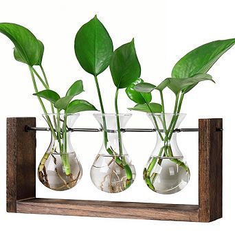 Kaelin Home Wall Hanging Planter