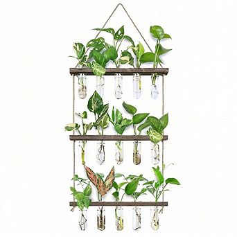 Kaelin Home Wall Hanging Propagation Station
