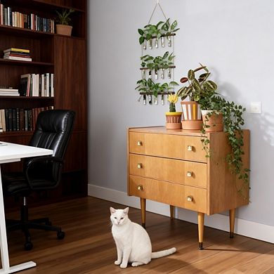 Kaelin Home Wall Hanging Propagation Station