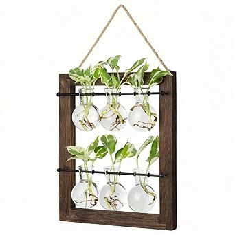 Kaelin Home Wall Hanging Glass Planter