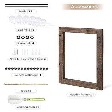 Kaelin Home Wall Hanging Glass Planter
