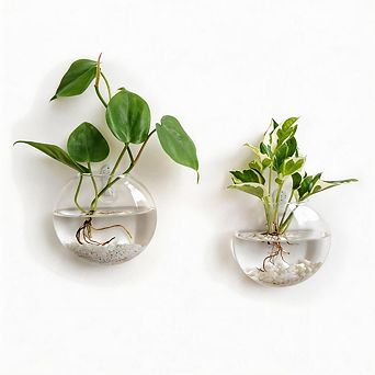 Kaelin Home Wall Hanging Glass Terrariums Planter
