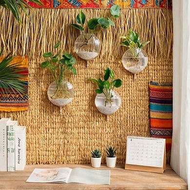 Kaelin Home Wall Hanging Glass Terrariums Planter