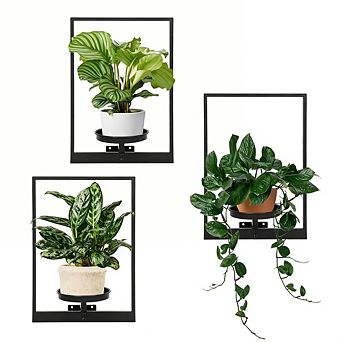 Kaelin Home Wall Planters for Indoor Plants