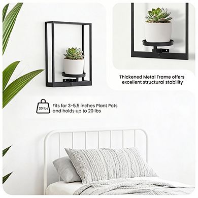 Kaelin Home Wall Planters for Indoor Plants