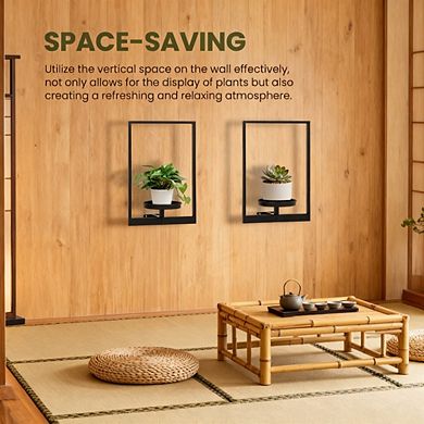 Kaelin Home Wall Planters for Indoor Plants