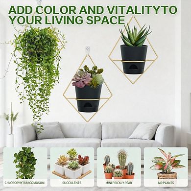 Kaelin Home 3 Sets Wall Planters