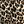 Brown Leopard