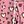 Pink Print