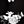 Black Butterfly